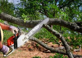 Best Lawn Pest Prevention  in Youngsville, PA